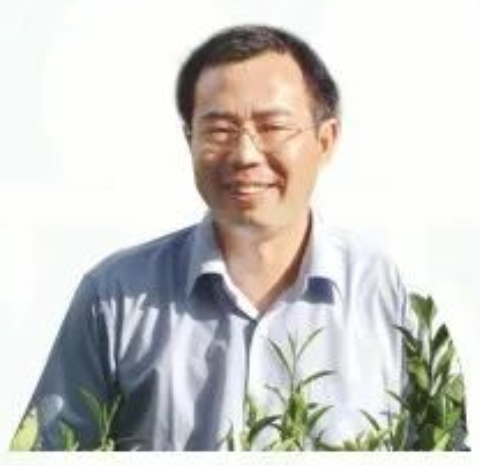 肖力争