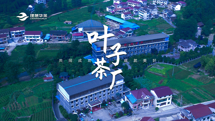 叶子茶厂