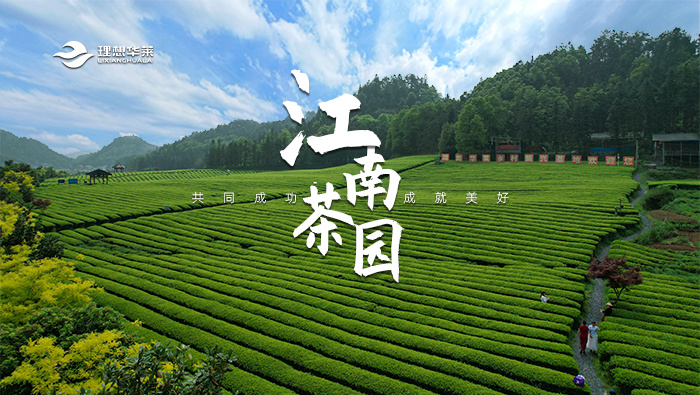 江南茶园